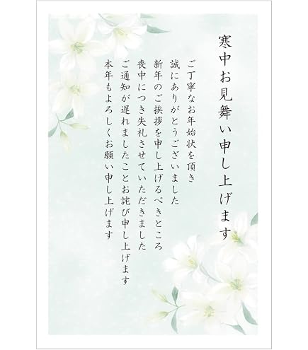 Amazon | 喪中はがき 20枚【年賀状じまい文/詳細記入不要】私製はがき